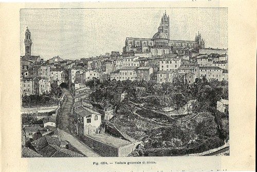 Stampa antica siena - antica,