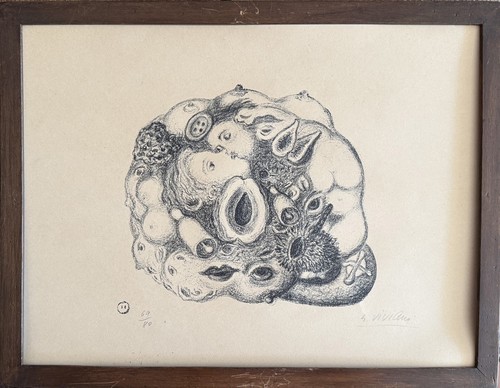 Giuseppe viviani litografia - giuseppe,