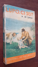 B3133 M DE CARNAC - LUPO CI