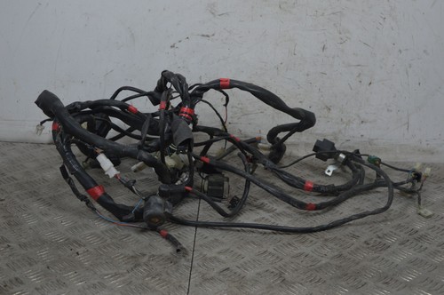 96956 cablaggio impianto - 96956,