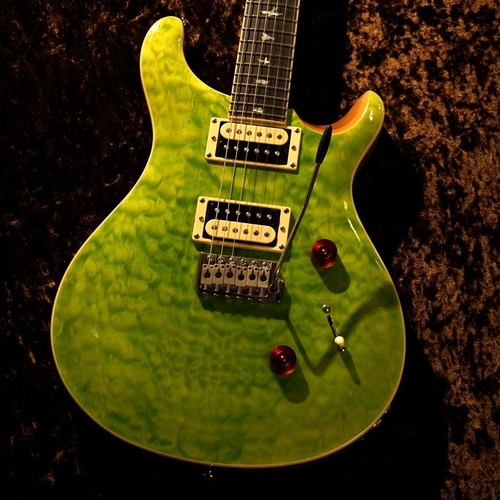 Paul reed smith prs custom - paul,