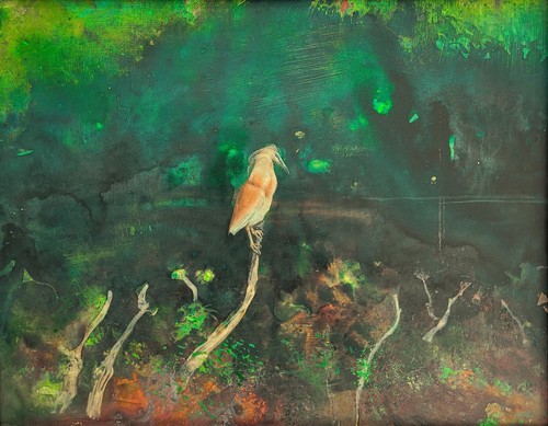 Robert carroll airone - carroll,