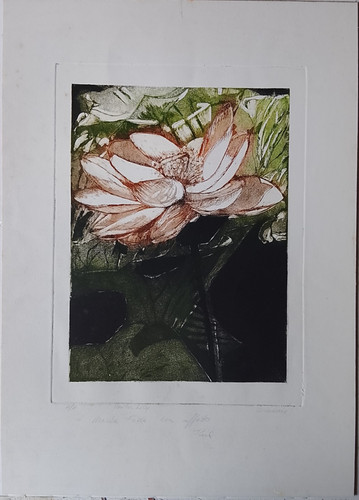 Waterlily incisone prova - incisone,