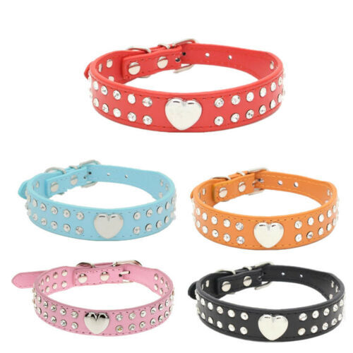 Collare cane pelle - , pu