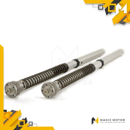 Kit cartucce forcelle - kit, moto