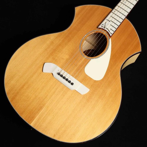 Chitarra acustica usata parker - acustica,