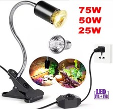 Clip lampada lampadina