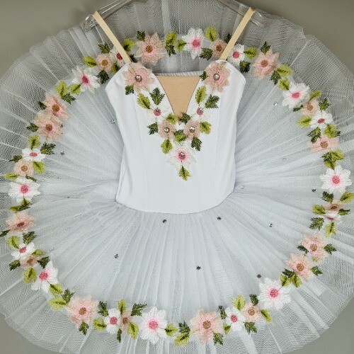 Balletto professionale tutù