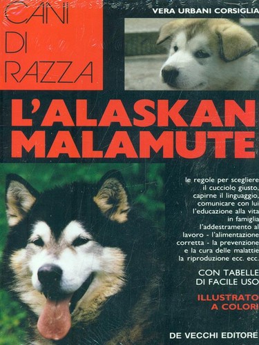 Alaskan malamute u - l'alaskan,
