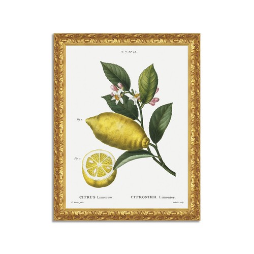 Quadro stampa tela effetto - su,