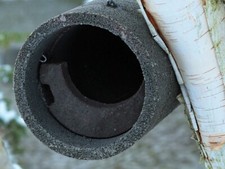 Cassetta Nido Per Uccelli Di