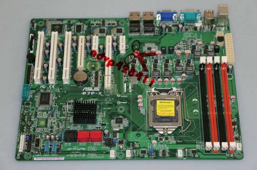 Scheda madre server - , asus