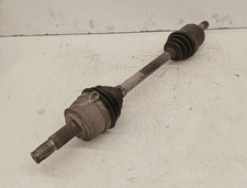 46308260 Semialbero ant