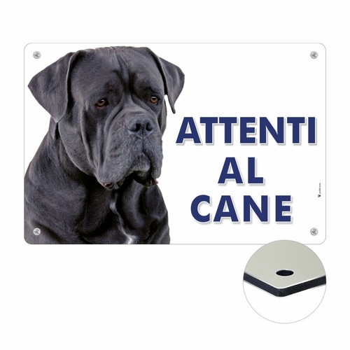 Cane corso attenti - cane, |