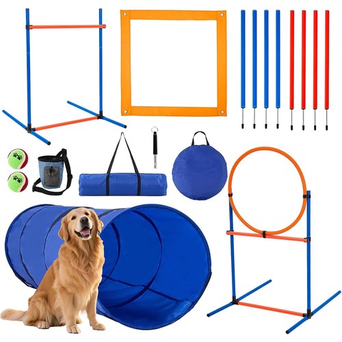 Dog agility equipment - dog,
