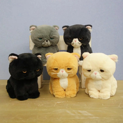 Peluche gatto mochabonbon - peluche,