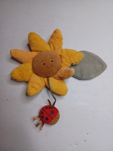 Peluche coccinella giocattolo