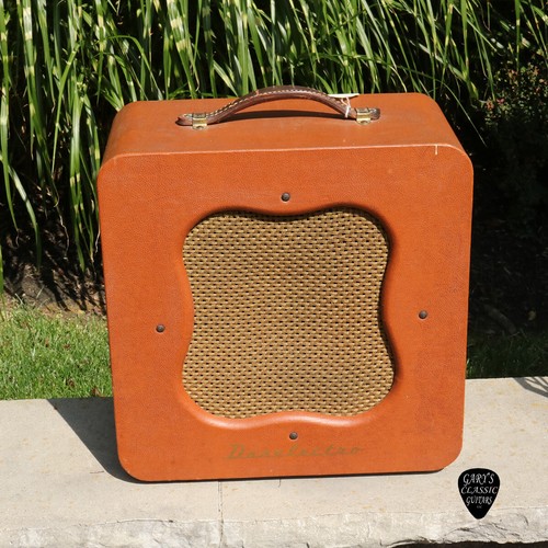 Amplificatore danelectro - amplificatore,