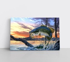 Quadro pesca basso bocca