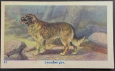 LEONBERGER rara carta commerciale cane olandese 1930 biscotto De Berenkamp #45