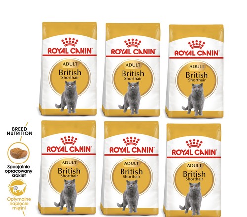 Royal canin british shorthair - royal,
