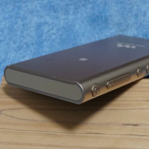 Sony a55 walkman oro - sony, nw-a55