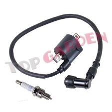 Bougie and Bobine d'allumage