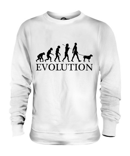 Spinone italiano evoluzione - italiano,