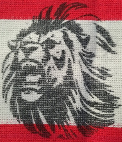 Sciarpa ultras milan fossa - sciarpa,