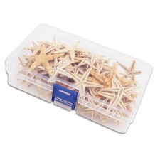 Accattivante stelle marine