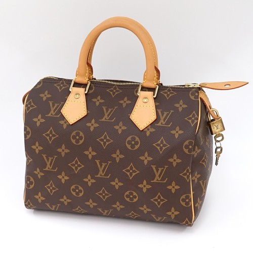 Borsa mano louis vuitton - borsa,