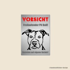 American Pit Bull Terrier