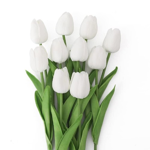 Levante group tulipani - –,
