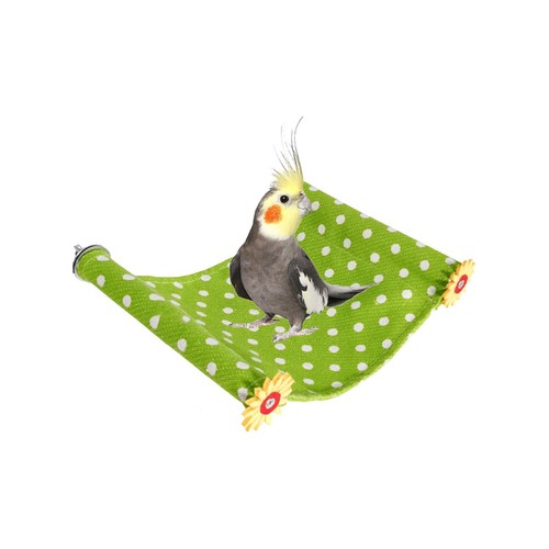 Pappagallo amaca sospesa - amaca, letto