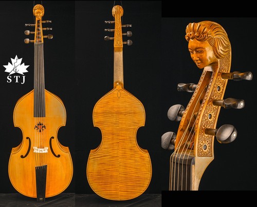 Viola gamba maestro 6 - da,