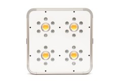 ORTOLED TITANIUM 240W REALI -