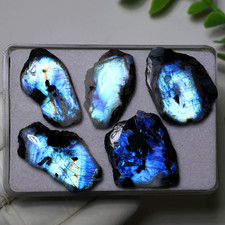 Cosmic Sheen ~ 5 pezzi pietra