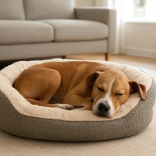 Cuccia da interno per Cani