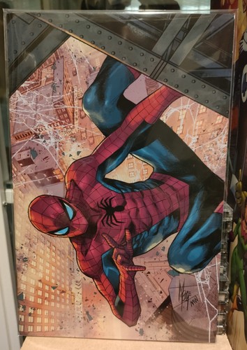 Ultimate spider man - spider-man, 1