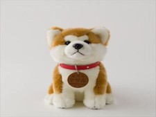 Peluche Akita Inu Preservation Society cane Taoyuan MASARU taglia M