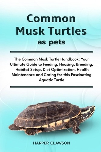 Common musk turtles pets - common,