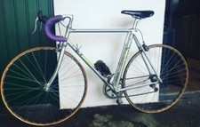 Bicicletta alan fanini - bicicletta,