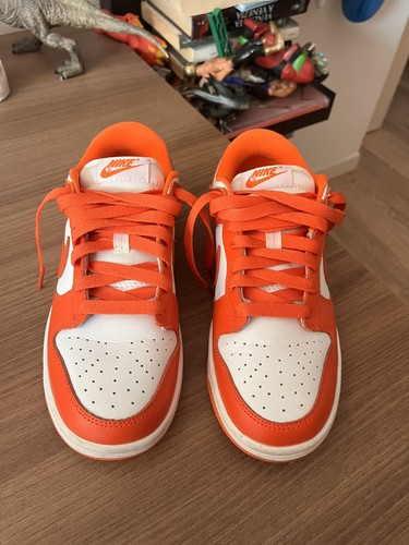 Dunk nike bambino colore