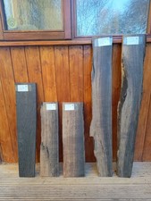 Raro legno palude rovere/morta