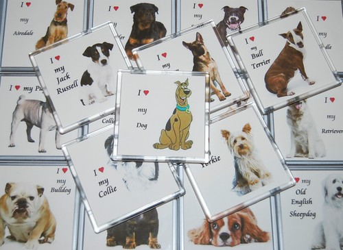Love dog superb - love,