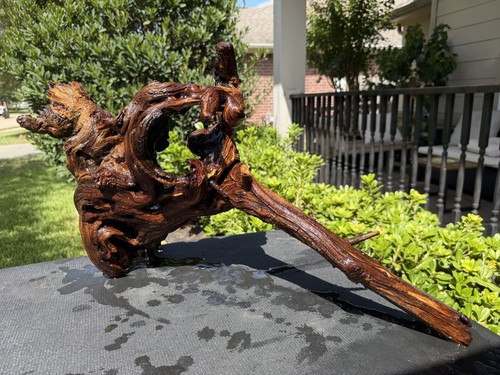 Driftwood mopani acquari - driftwood,
