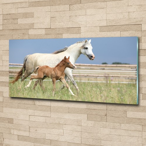 Quadro immagine arte - da, parete