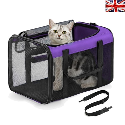 Trasportino per gatti viola - gatti,