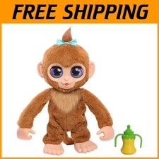 Scimmia Arachidi Realistica