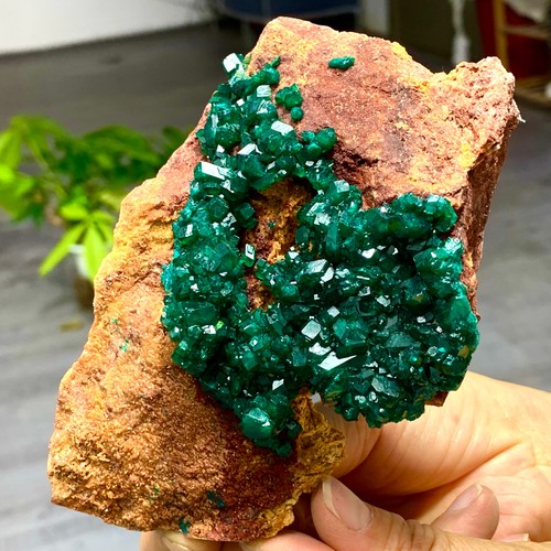 398g dioptasi verde naturale - 398g,